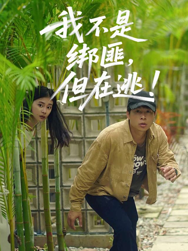 我不是绑匪,但在逃封面