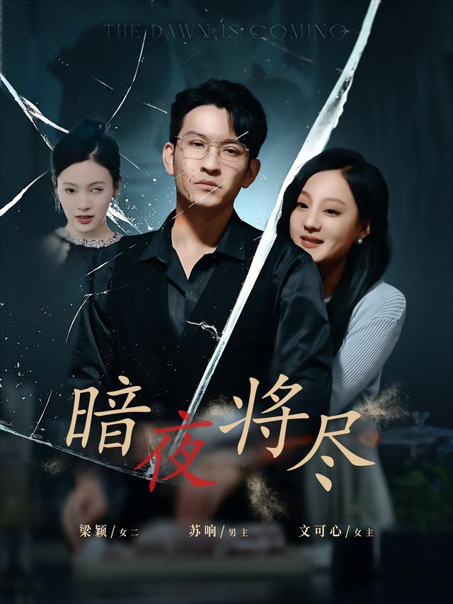 暗夜将尽封面