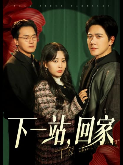 下一站,回家封面