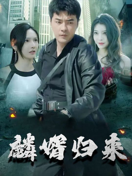 麟婿归来封面