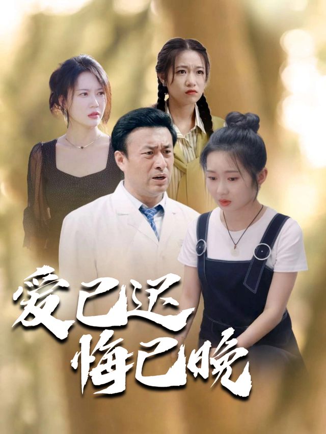 爱已迟,悔已晚封面