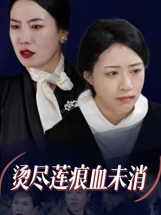 烫尽莲痕血未消封面