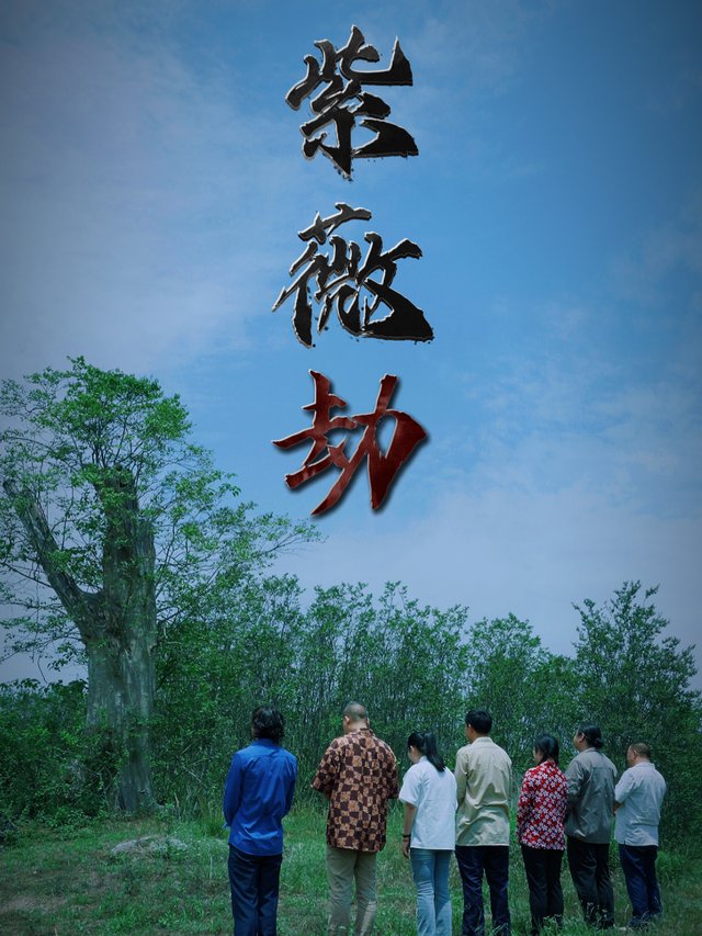 (紫薇劫)封面