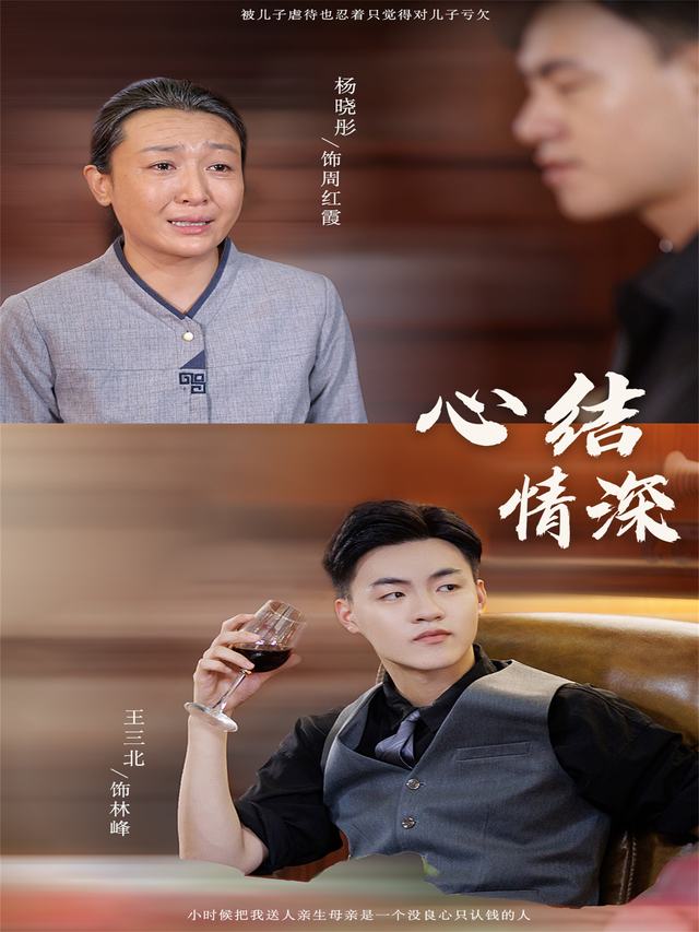 心结情深封面