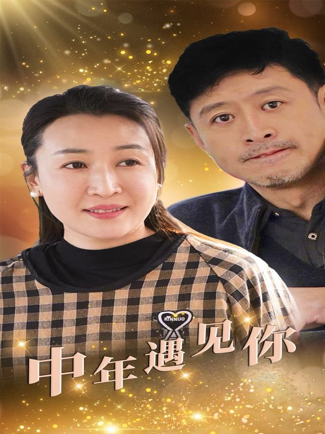 中年遇见你封面
