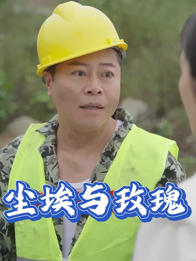 尘埃与玫瑰封面