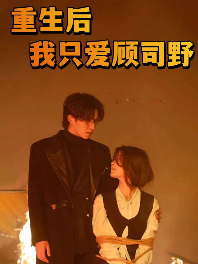 重生后我只爱顾司野封面
