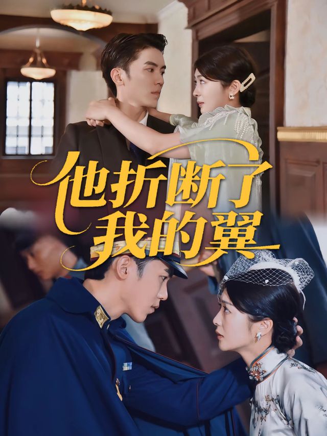 他折断了我的翼封面