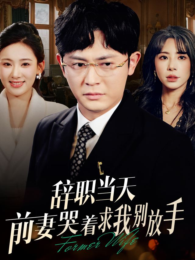 辞职当天,前妻哭着求我别放手封面