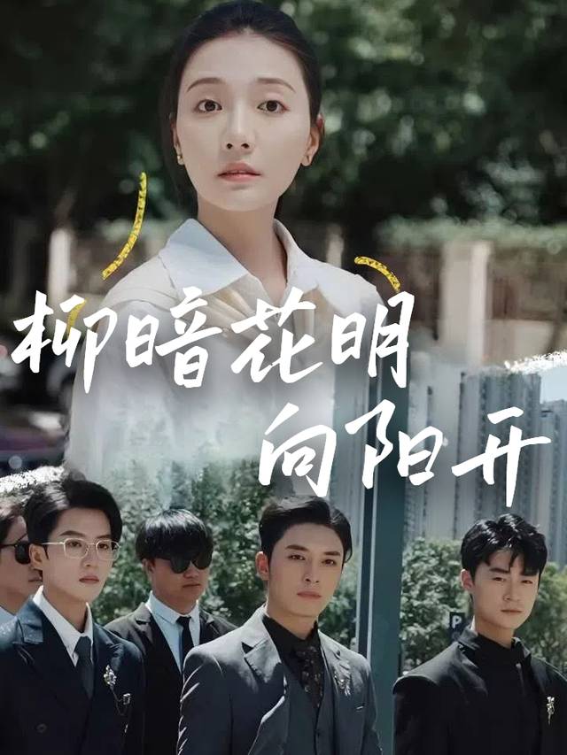 柳暗花明向阳开封面