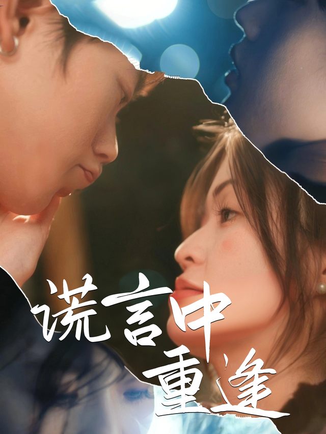 谎言中重逢封面
