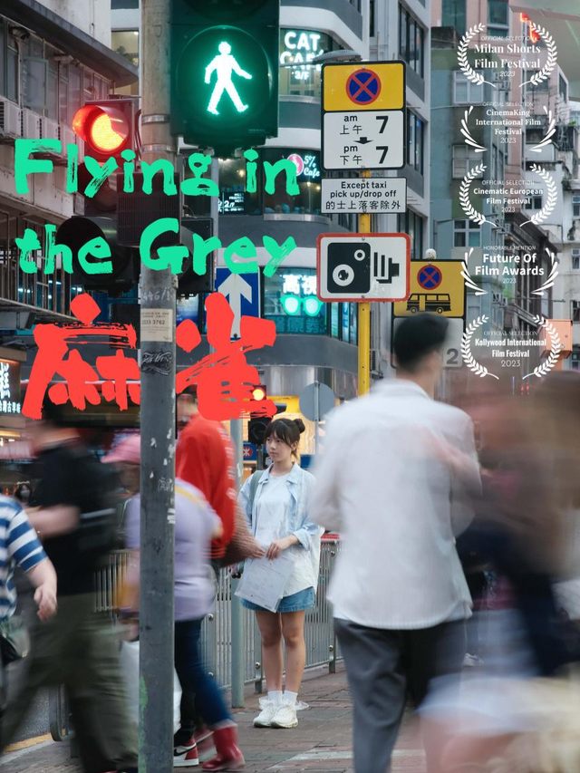 麻雀封面