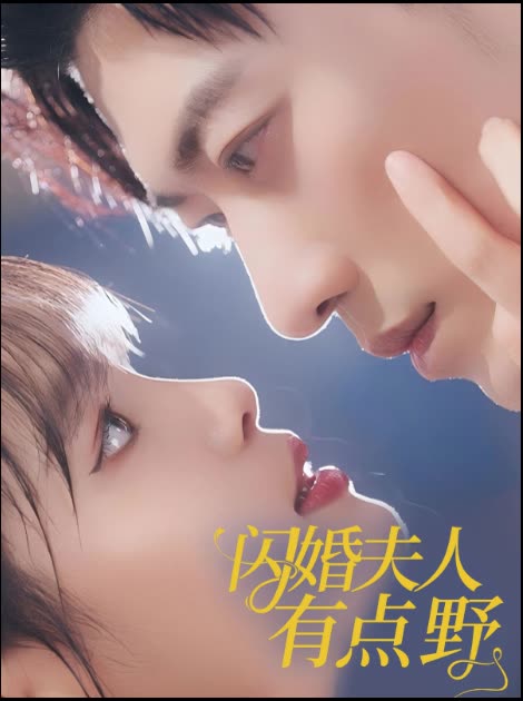 闪婚夫人有点野封面