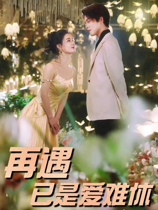 再遇已是爱难休封面