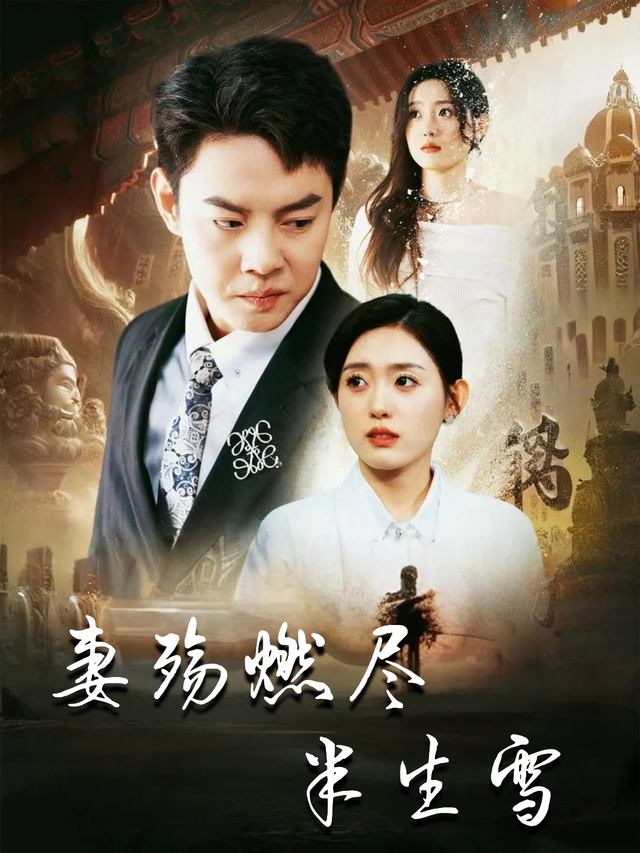 妻殇燃尽半生雪封面