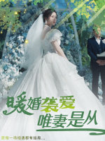 暖婚袭爱:唯妻是从封面