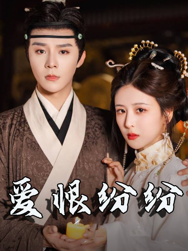 爱恨纷纷封面