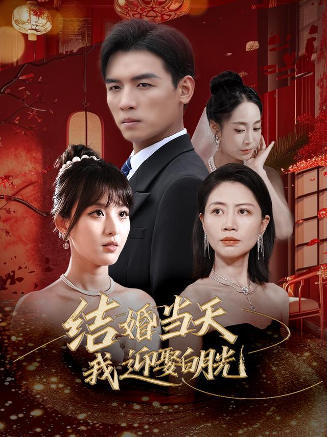 结婚当天我迎娶白月光封面