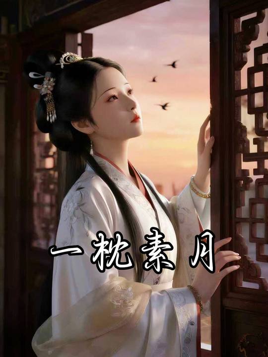一枕素月封面