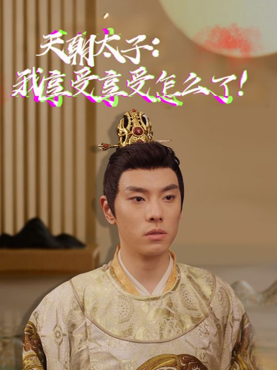 天朝太子:我享受享受怎么了封面