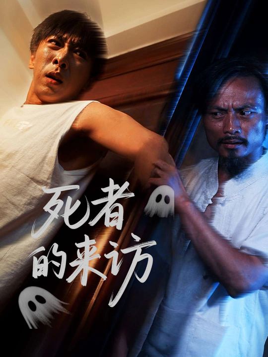 死者的来访封面