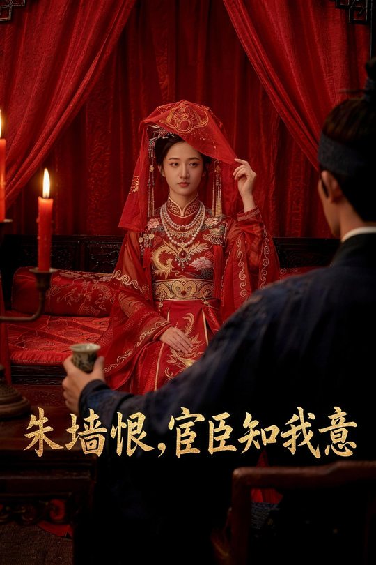 朱墙恨,宦臣知我意封面
