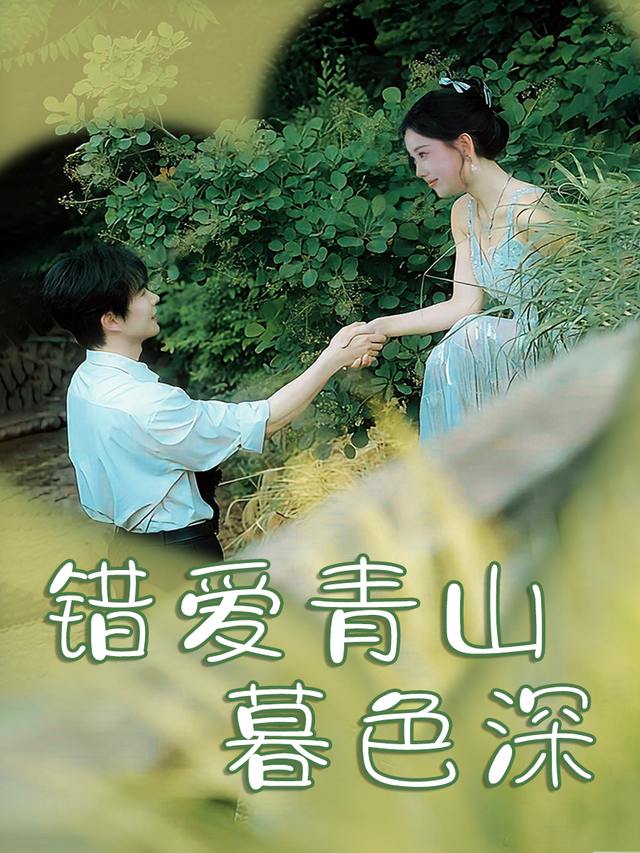 错爱青山暮色深封面