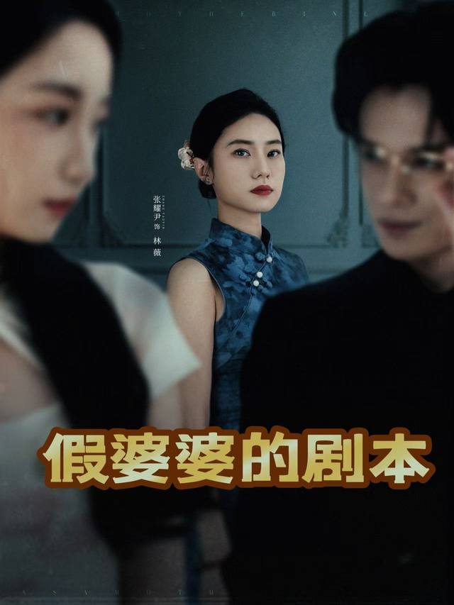 假婆婆的剧本封面