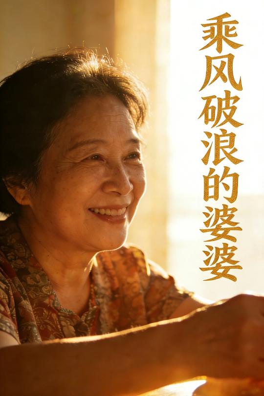 乘风破浪的婆婆封面