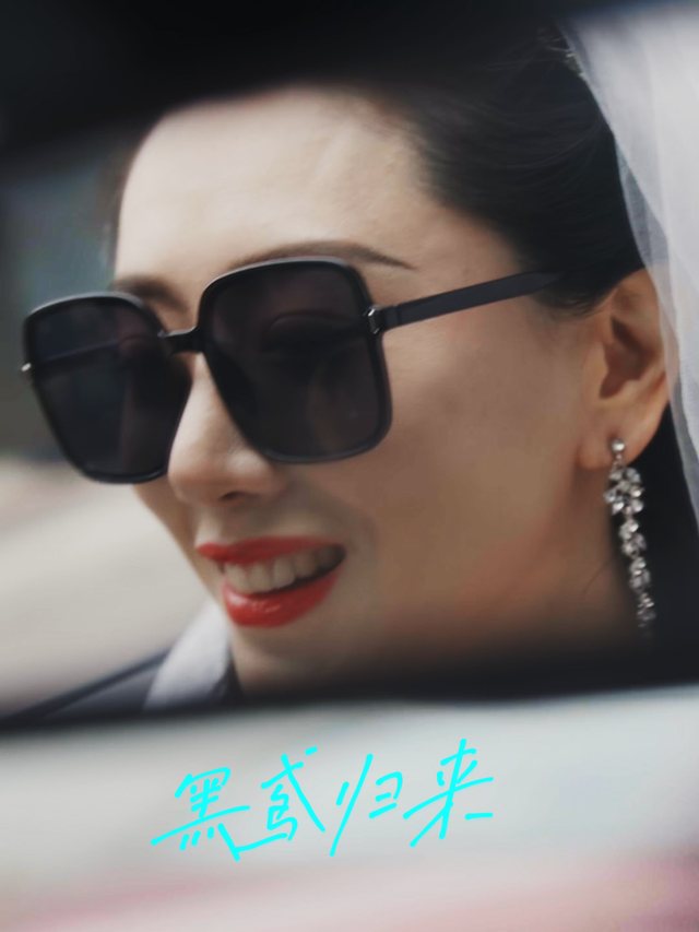 黑鸢归来封面