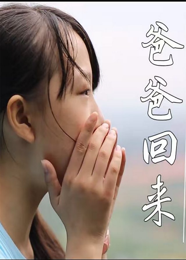 爸爸回来封面