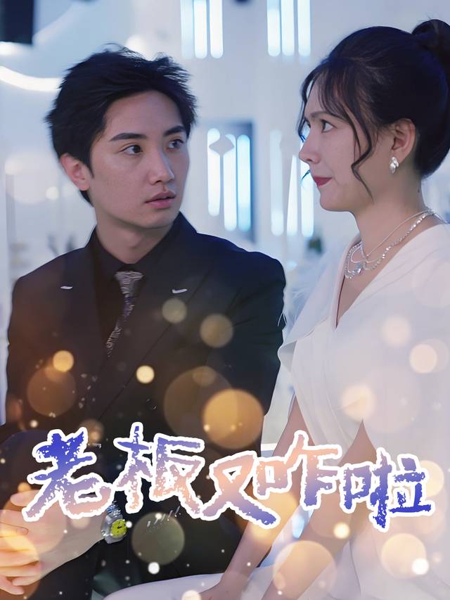 老板又咋啦封面
