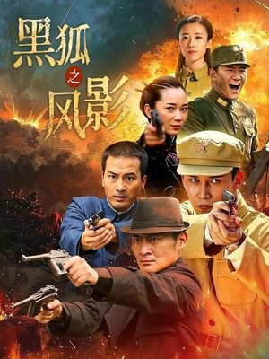 合集 · 黑狐之风影(上)封面