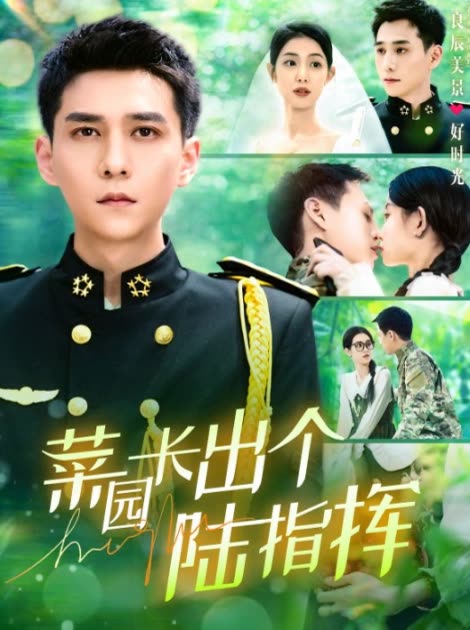 菜园长出个陆指挥封面