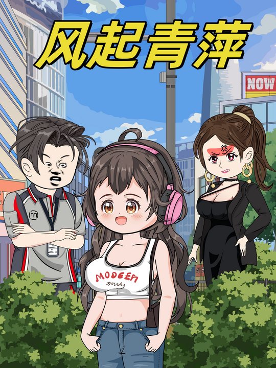 风起青萍封面