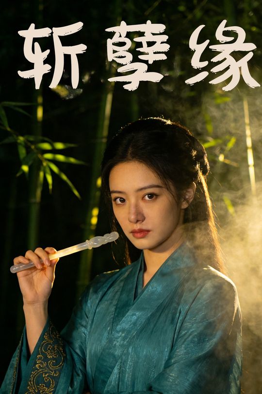 斩孽缘封面