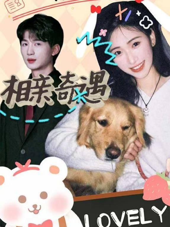 相亲奇遇封面