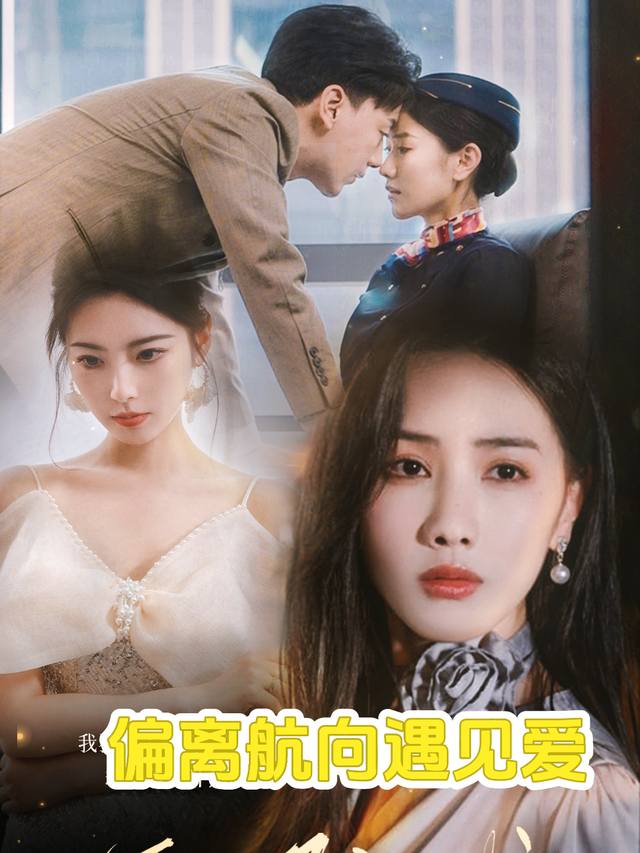 偏离航向遇见爱封面
