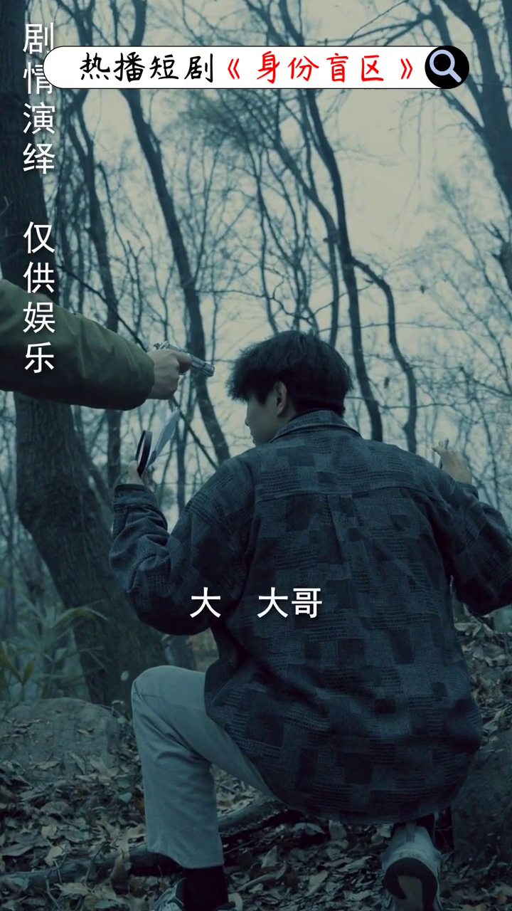 身份盲区封面