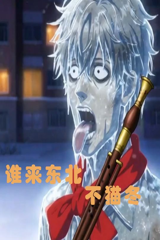 谁来东北不猫冬封面