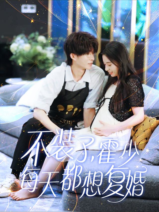 不装了,霍少每天都想复婚封面