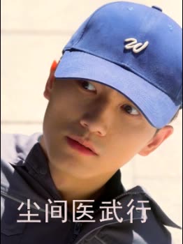 尘间医武行封面