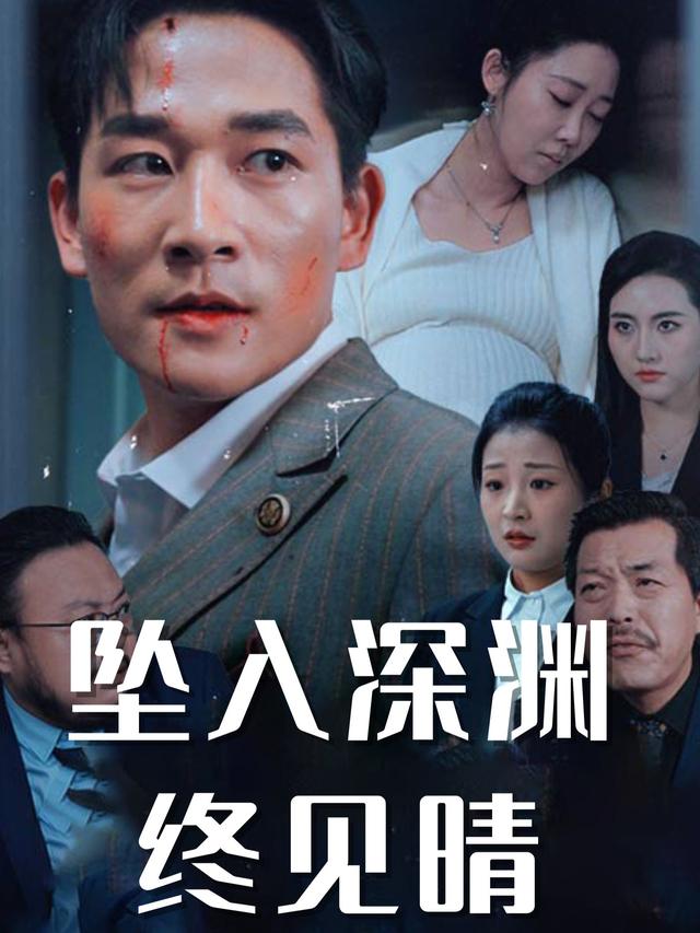 坠入深渊终见晴封面
