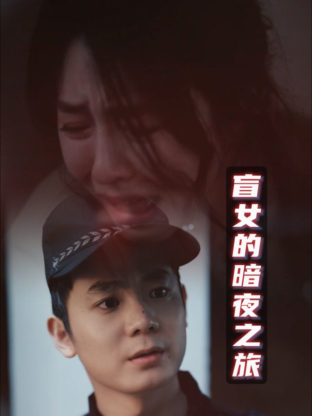 盲女的暗夜之旅封面