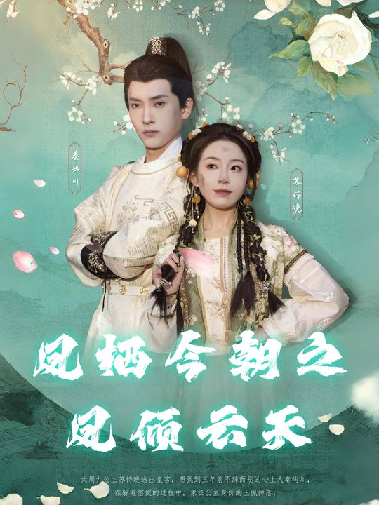 凤栖今朝之凤倾云天封面