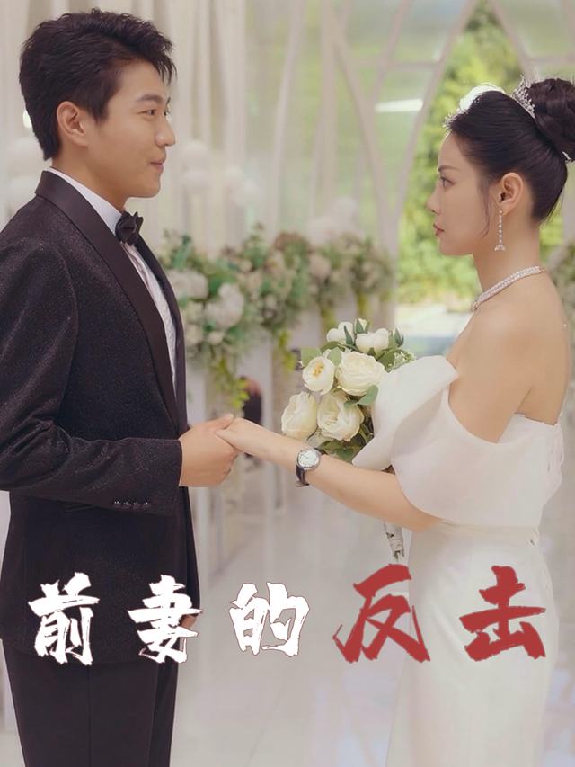 前妻的反击封面