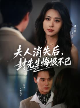 夫人消失后,封先生悔恨不已封面