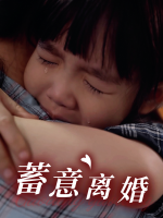 蓄意离婚封面