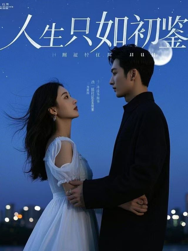 人生只如初鉴封面