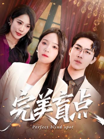完美盲点封面
